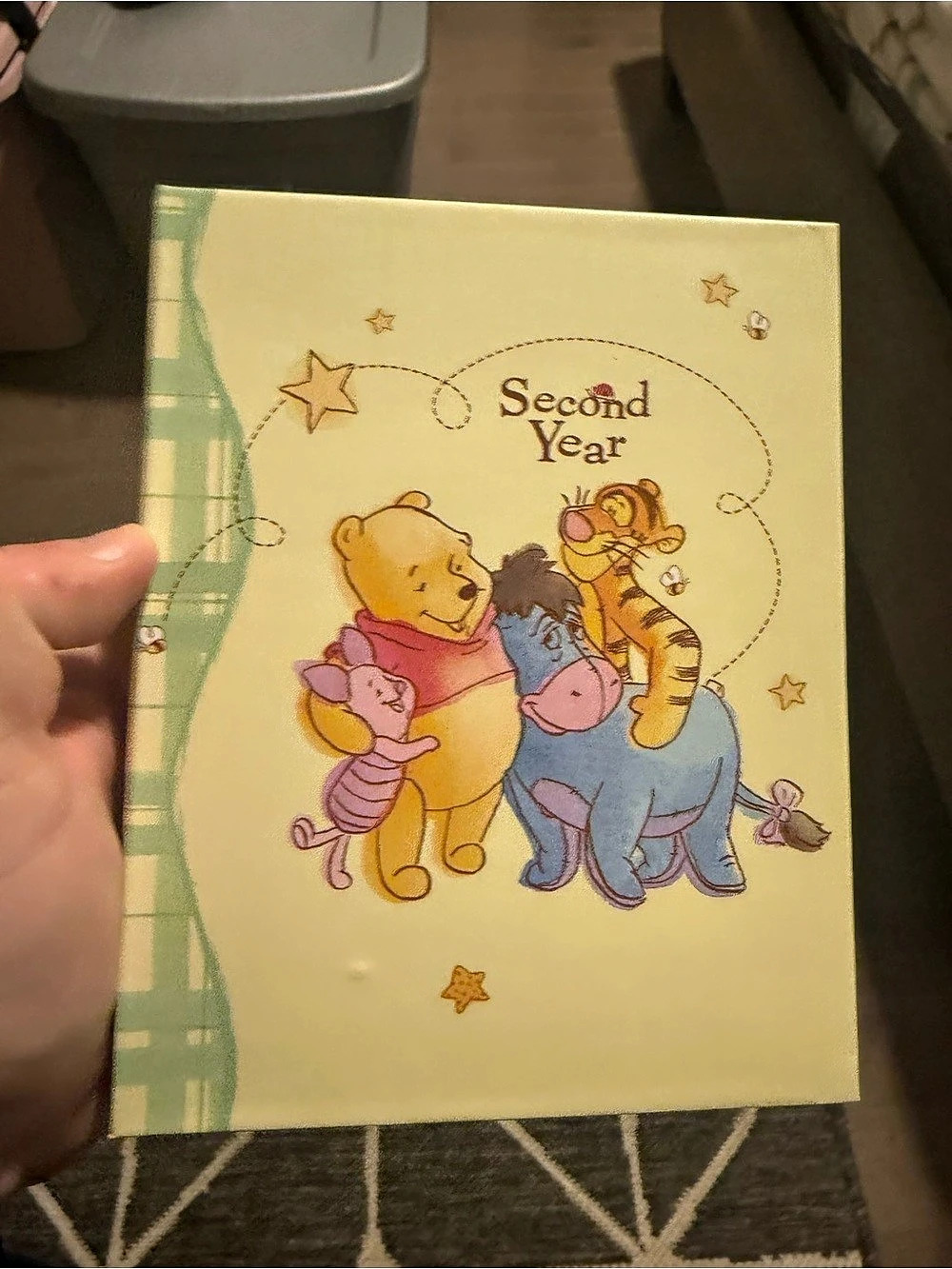 Baby's First, Second & Third Year Album Winnie the Pooh Memory Albums